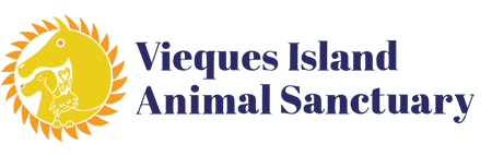 Vieques Island Animal Sanctuary